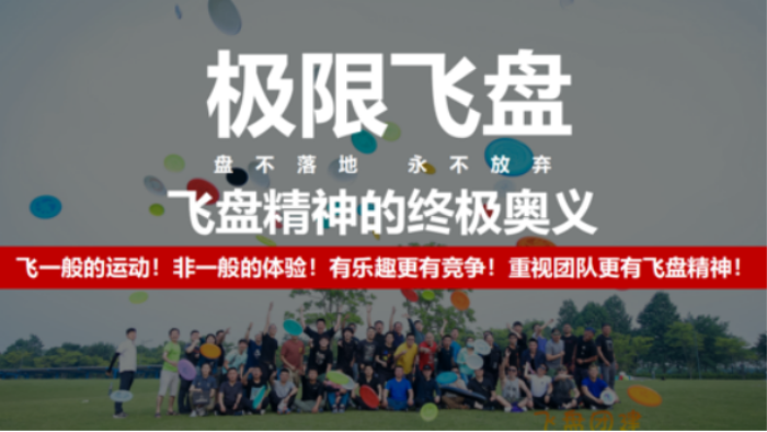 极限飞盘